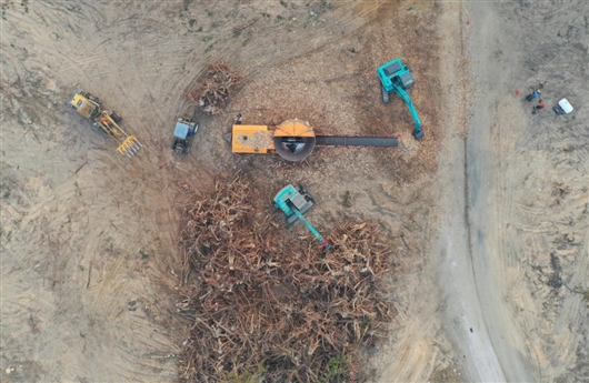 大型机械一条龙挖除粉碎疫木伐桩 骆有庆供图.jpg