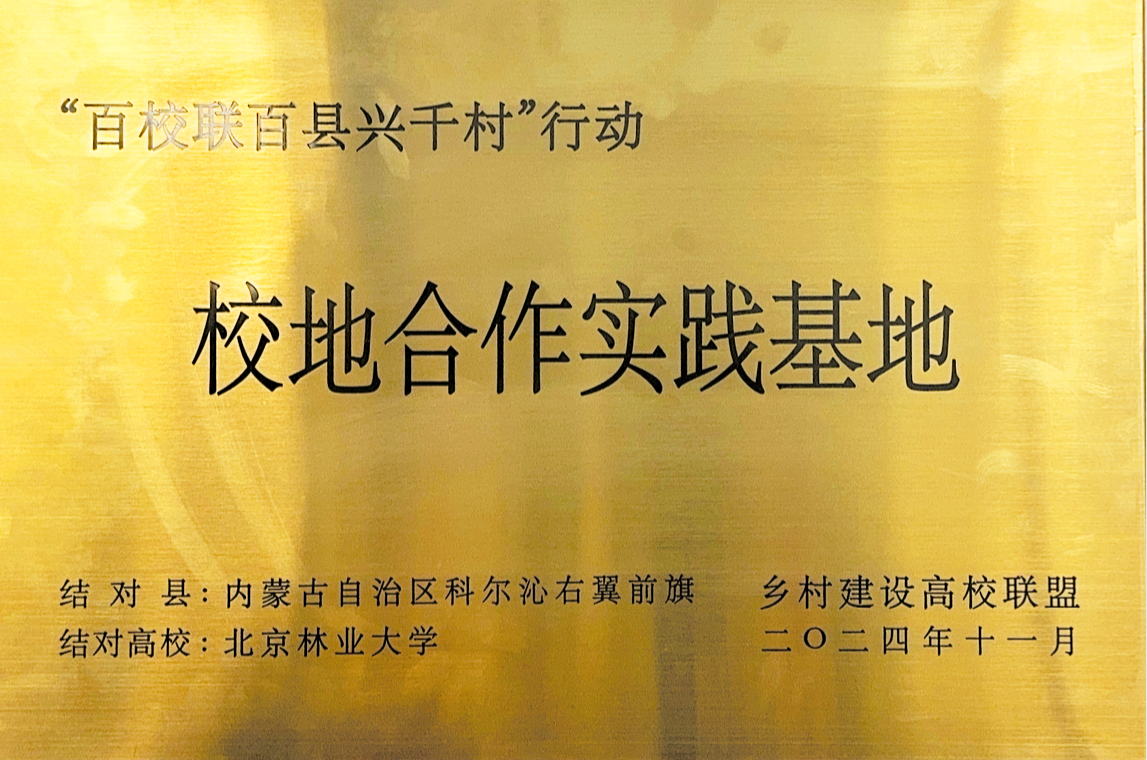 90865c7a56294cc0b35bce56f44c23e7.png